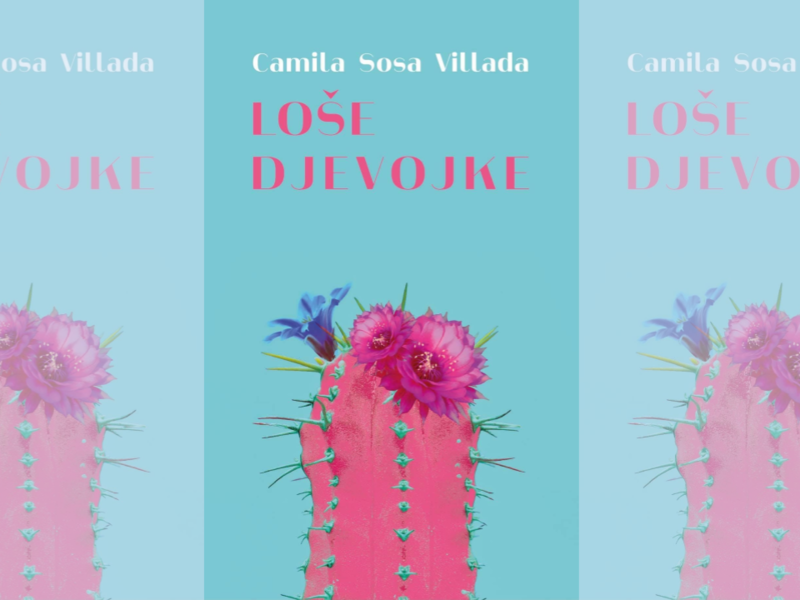 Loše djevojke / Camila Sosa Villada ; sa španjolskog prevela Nikolina Židek