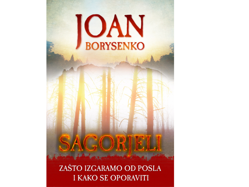 Sagorjeli : zašto izgaramo od posla i kako se oporaviti / Joan Borysenko