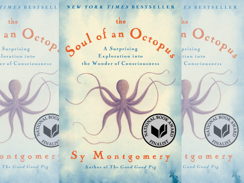 [Iz Rasadnika.fyi] The Soul of an Octopus: elementarne čestice plavetnila