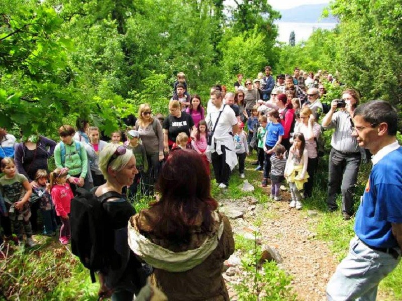 Jesenska šetnja Šumom Striborovom uz modernu verziju Ježurke Ježića