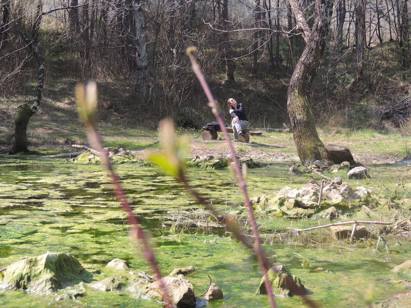 Zelena Štemalica: (Ne)održivi razvoj 