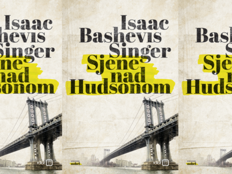 "Sjene nad Hudsonom" Isaaca Bashevisa Singera: osjećaj koji pruža samo vrhunska literatura