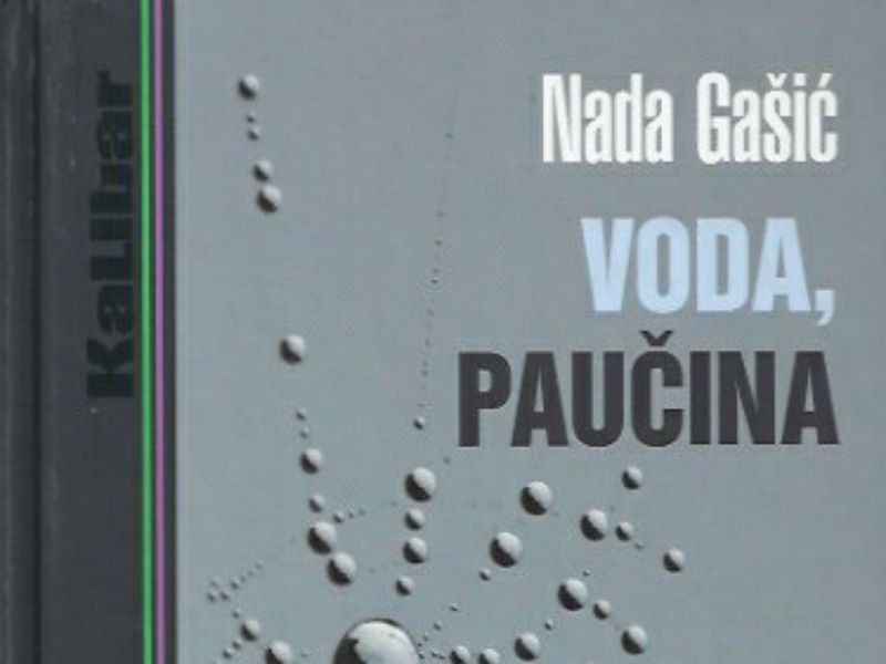 Nada Gašić: Voda, paučina