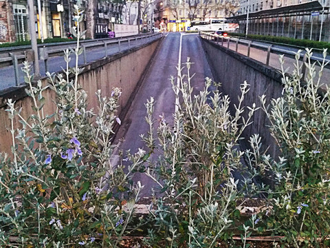 Rijeka, sloboda i kada bi priču pričale samo knjige....